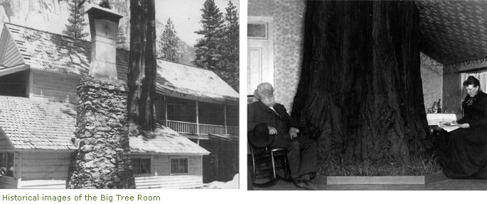 Historical images of the Big Tree Room and James Hutchings Historical images of the Big Tree Room and James Hutchings