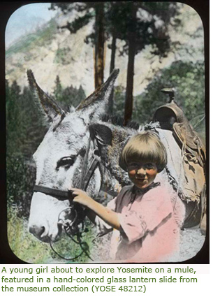 Image of a young girl about to explore Yosemite on a mule in a hand-colored glass lantern slide from the museum collection Image of a young girl about to explore Yosemite on a mule in a hand-colored glass lantern slide from the museum collection