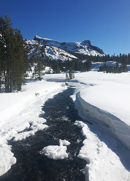 Lee Vining Creek and Mt. Dana on February 12, 2020. Lee Vining Creek and Mt. Dana on February 12, 2020.