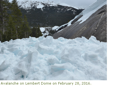 Avalanche on Lembert Dome Avalanche on Lembert Dome