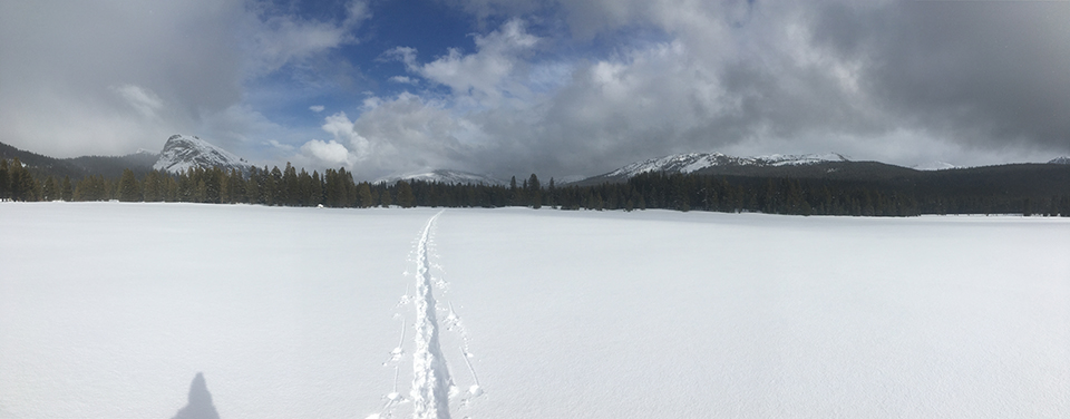 Lone ski track in Tuolumne Meadows on March 22, 2020. Lone ski track in Tuolumne Meadows on March 22, 2020.