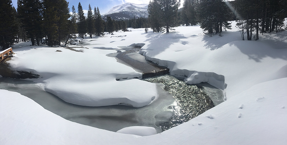 Lyell Fork and Mammoth Peak on March 14, 2020 Lyell Fork and Mammoth Peak on March 14, 2020