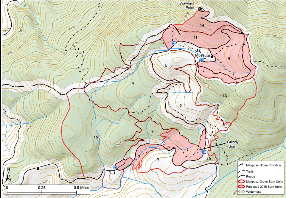 Mariposa Grove Prescribed Fire Yosemite National Park (U.S. National Park Service)