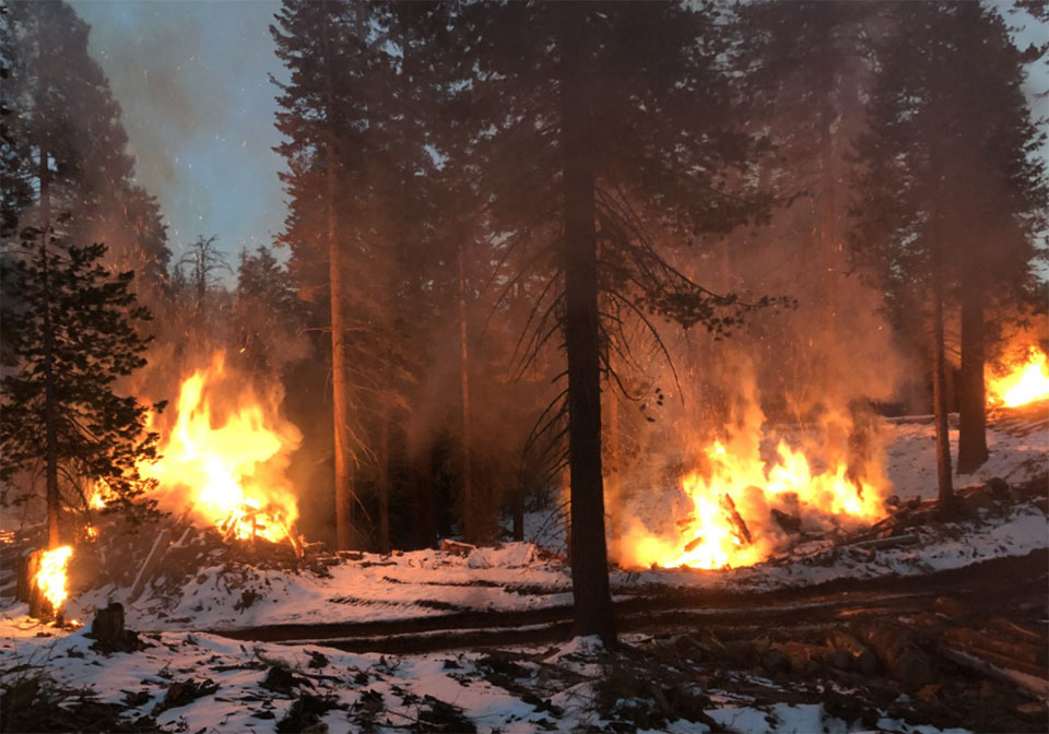Ignited burn piles in the Merced Grove with snow on the ground