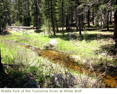 Middle Fork of the Tuolumne River at White Wolf Middle Fork of the Tuolumne River at White Wolf