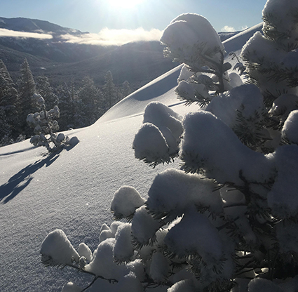 Newly fallen snow on December 24, 2019 Newly fallen snow on December 24, 2019