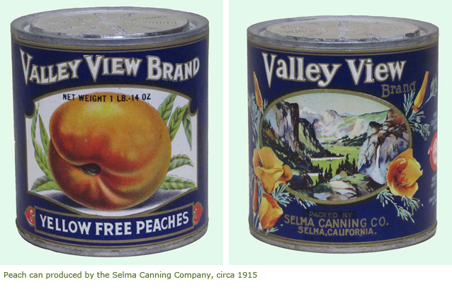 Peach can produced by the Selma Canning Company circa 1915 Peach can produced by the Selma Canning Company circa 1915