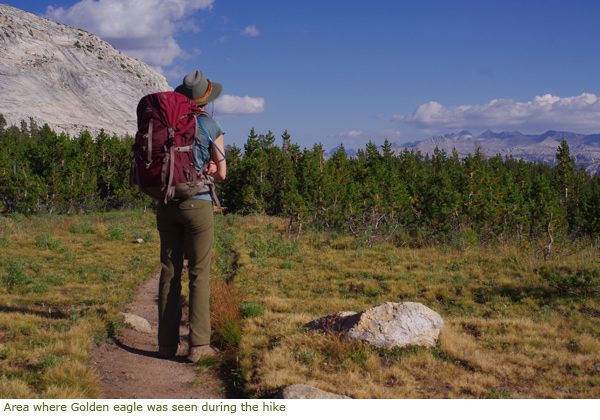 Backpacker in high country Backpacker in high country
