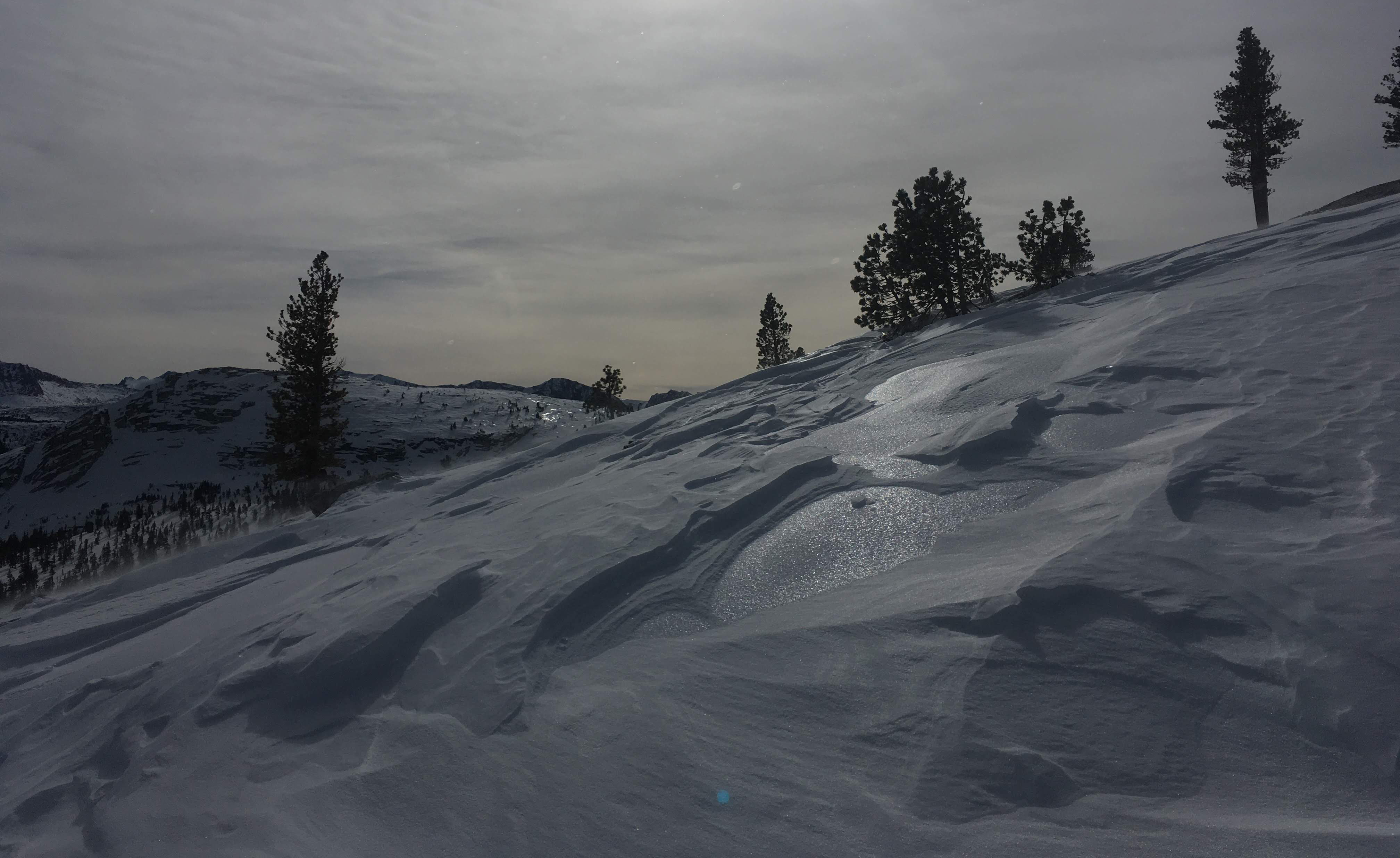 Sastrugi (sharp irregular grooves or ridges formed on a snow surface by wind erosion) and melt freeze crust