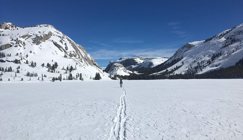 Skier on Tenaya Lake on February 23, 2019. Skier on Tenaya Lake on February 23, 2019.