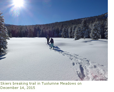 Skiers breaking trail in Tuolumne Meadows on December 14, 2015