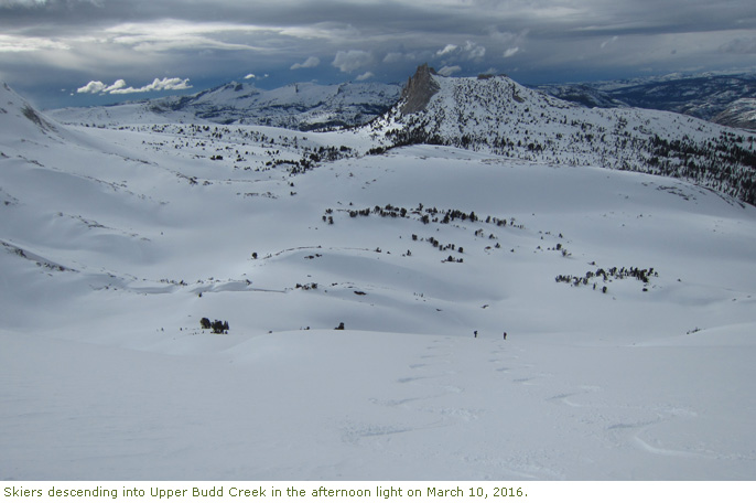 Skiers descending into Upper Budd Creek in the late afternoon light.