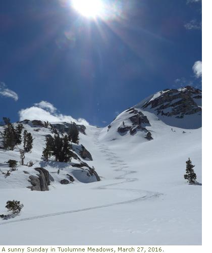 A sunny ski day in Tuolumne Meadows (shows ski tracks)