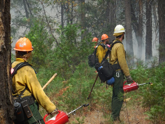 Ignitions begin on Taft Toe Prescribed Burn (firefighters with drip torches) Ignitions begin on Taft Toe Prescribed Burn (firefighters with drip torches)