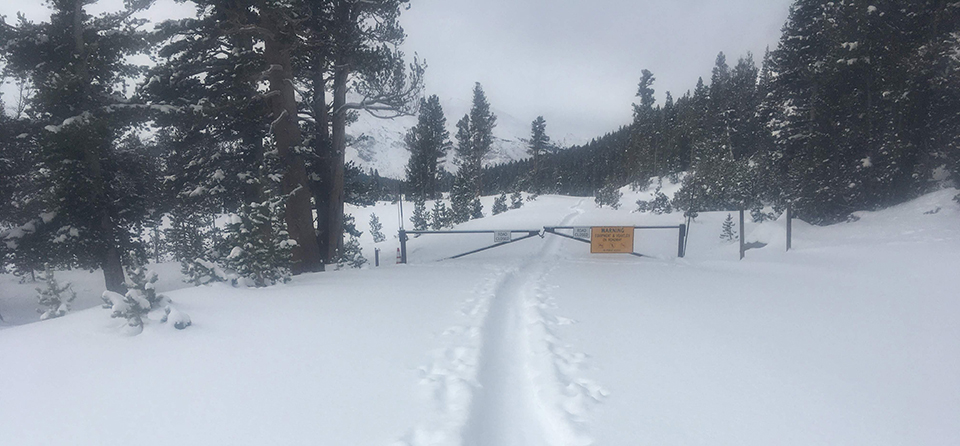 Gate closed at Tioga Pass with ski tracks and snow on March 20, 2020. Gate closed at Tioga Pass with ski tracks and snow on March 20, 2020.