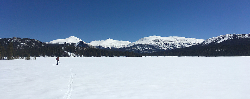 Skier with view of Tuolumne Meadows, Mt. Gibbs, and Mt. Dana on April 14, 2020.