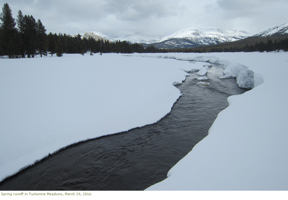 Spring runoff in Tuolumne Meadows