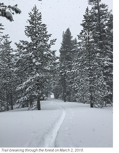 Ski tracks in fresh snow on March 2, 2018 