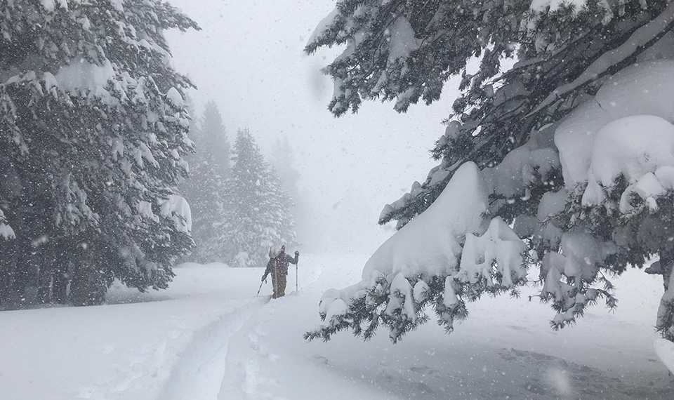 Skier breaking trail through fresh deep snow in Tuolumne Meadows on February 6, 2019. Skier breaking trail through fresh deep snow in Tuolumne Meadows on February 6, 2019.