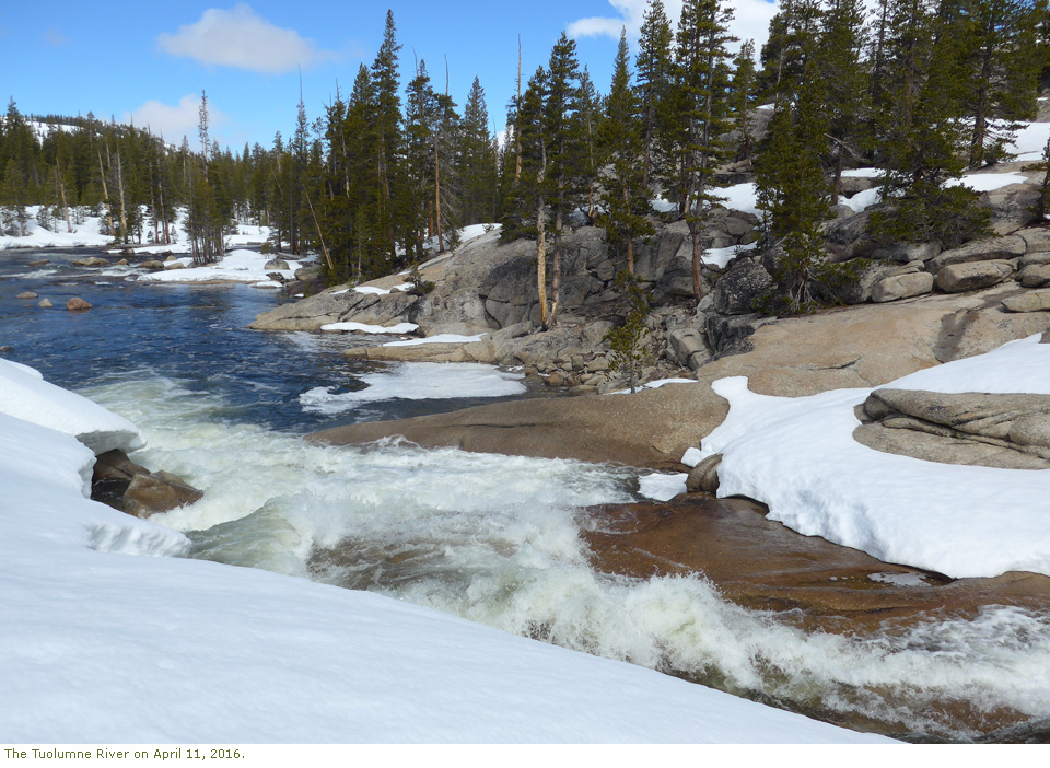 Tuolumne River, April 2016