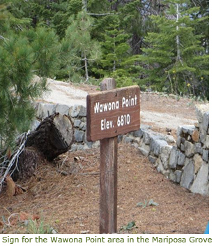 Sign for the Wawona Point area in Mariposa Grove