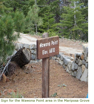 Sign for the Wawona Point area in Mariposa Grove Sign for the Wawona Point area in Mariposa Grove