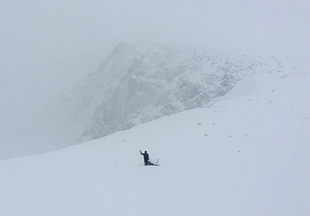 One person in snowy conditions doing wildlife survey