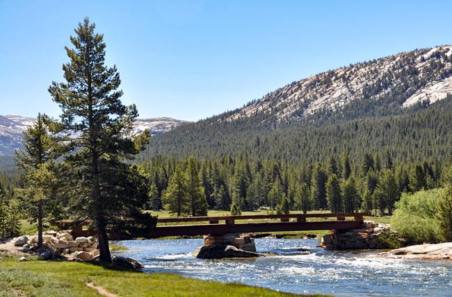 El puente cruza el río que atraviesa el prado.