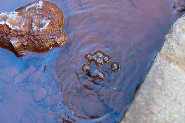 Las burbujas suben a la superficie de un pequeño manantial de agua.
