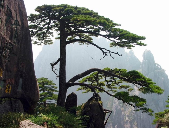 Huangshan National Park in China Huangshan National Park in China