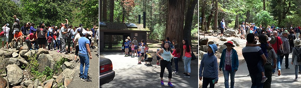 Three images of crowding on the trail to Bridalveil Fall and near the bathrooms in the parking area