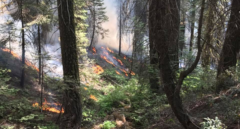 Empire Fire along Glacier Point burning naturally through vegetation