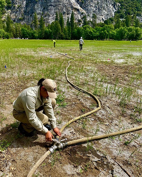 YLP Intern working on a vegetation and ecological restoration project.