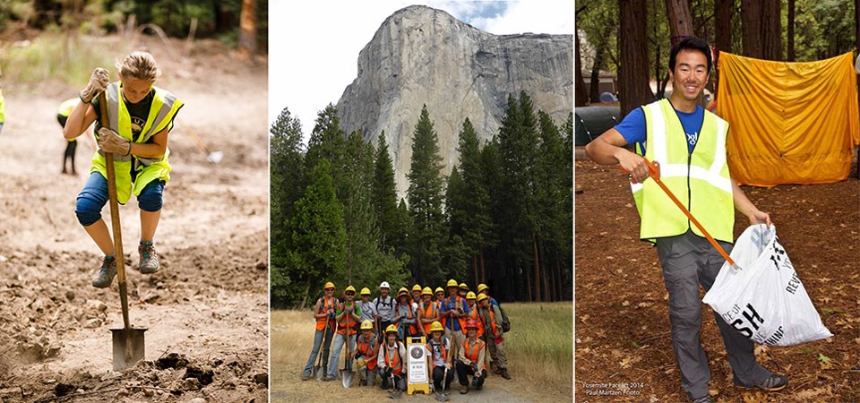 Three images: a person shoveling, a group of volunteers in front of El Capitan, and a person picking up trash Three images: a person shoveling, a group of volunteers in front of El Capitan, and a person picking up trash
