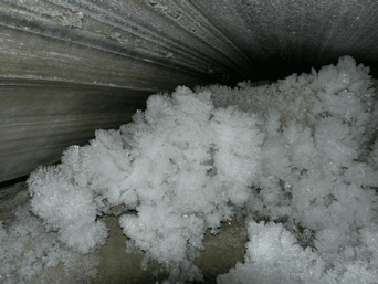 Hoarfrost under the Maclure Glacier