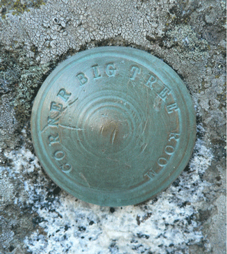 Hutchings House Big Tree Room marker. Hutchings House Big Tree Room marker.