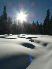 The beginning of our snowpack in the high country