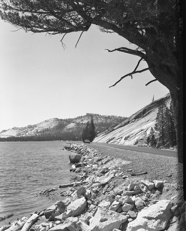 Lake shoreline with a paved road running alongside it; the shoreline has large rocks and gravel constructed next to the road