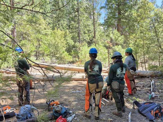Four conservation corpsmembers stand wearing safety gear in front of downed logs. Other gear is scattered behind them on the ground.