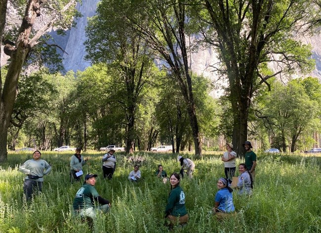 Twelve people sit or stand in a circle in the tall grass of El Capitan Meadow. Most of them are smiling at the camera.