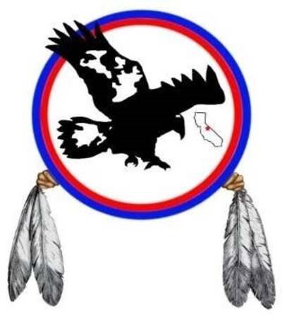 A graphic of a seal, a circle with outer blue and inner red borders surrounding a graphic of an eagle and the state of California. A pair of feathers flank each side of the seal.