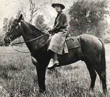 clare-hodges-horse-web_1.jpg clare marie hodges