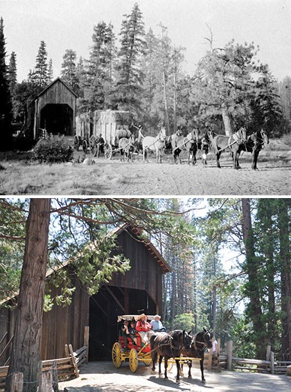 Top: Wagon and mule team coming from covered bridge in Wawona; Bottom: Wawona Covered Bridge, present day with stage and horses