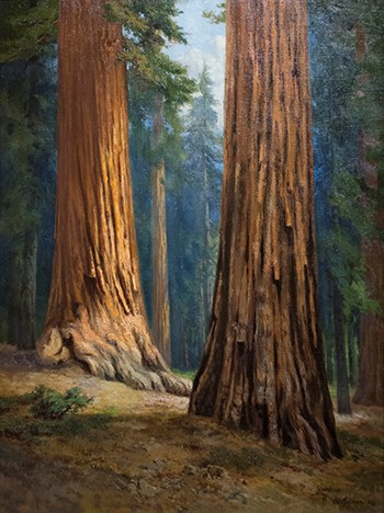 Christ Jorgensen's 1910 painting of the Mariposa Grove