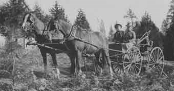 Couple sits in horse-drawn wagon