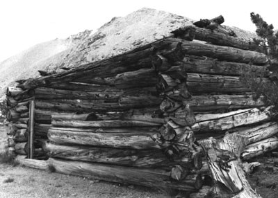 Remains of Golden Crown Mine cabin