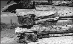 Close-up of corner of log structure