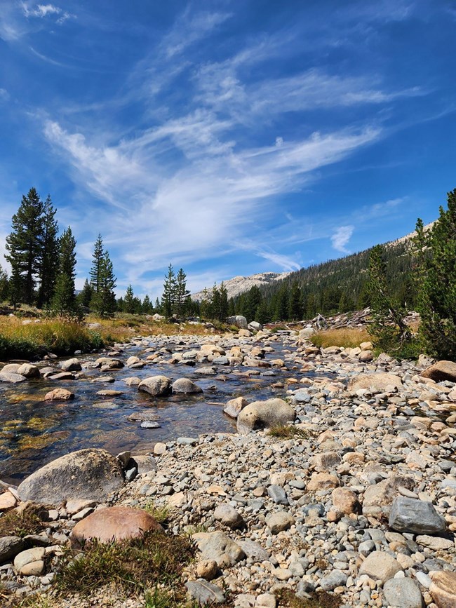 A creek runs through a high country meadow with wispy clouds overhead