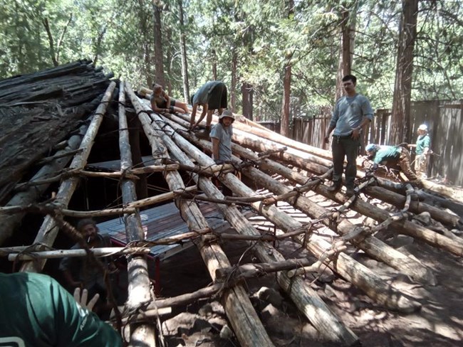 Members of the Yosemite Ancestral Stewards Crew stand on, next to, or within a partially repaired roundhouse. The structure is circular and has large logs arrayed in a peak. The crewmembers are working on replacing the roundhouse's bark covering.
