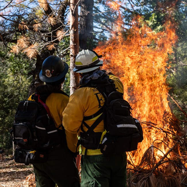 A picture of two people wearing hard hats and yellow jackets from behind. They are observing and discussing the large brush pile fire in front of them.